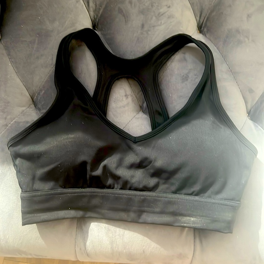 That’s so fetch sports bra